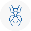 Ant Removals In Northamptonshire