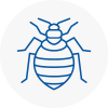 Bed Bug Extermination In Northamptonshire