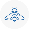 Bee Nest Removal Northamptonshire