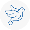 Bird Prevention Northamptonshire