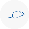 Mice Exterminators In Northamptonshire