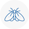 Moth Control Specialists In Northamptonshire