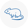 Rat Control Northamptonshire
