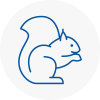 Northamptonshire Rodent Removals